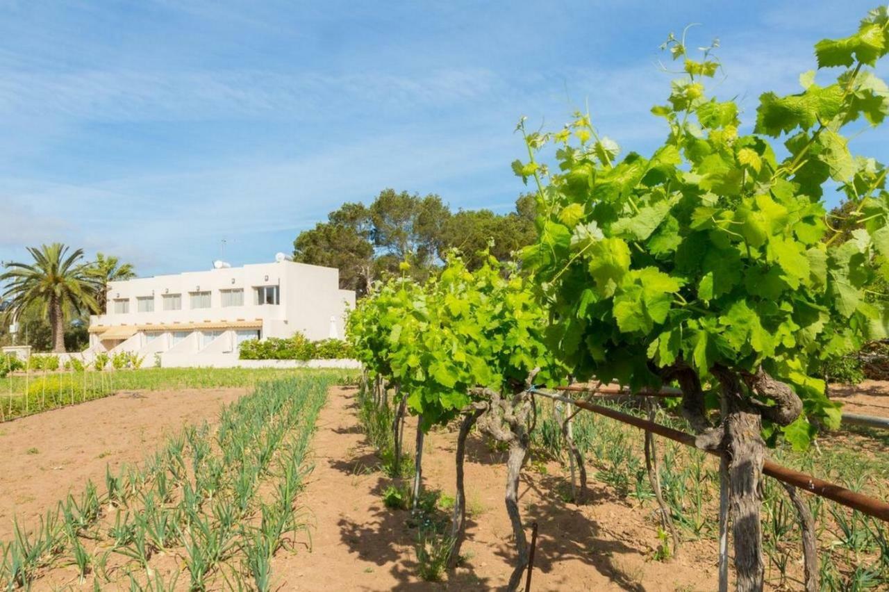 Apartamentos Marcelino - Formentera Break เอสปุญอลส์ ภายนอก รูปภาพ